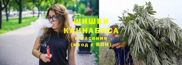 спайс Баксан