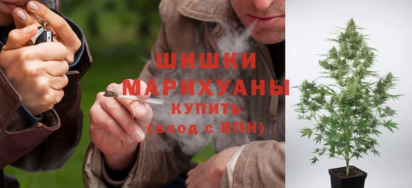 спайс Баксан