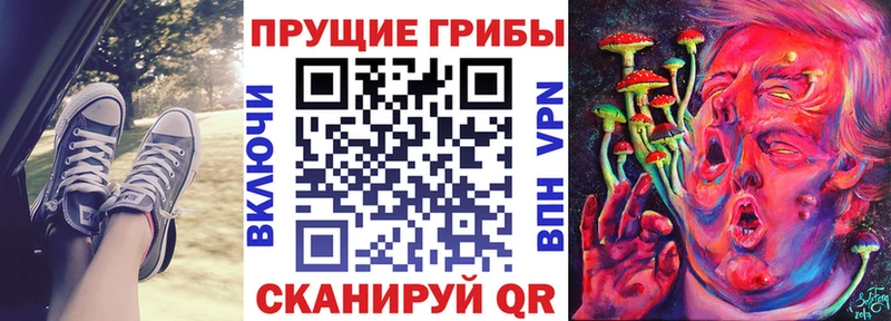 Купить  Киреевск  Псилоцибиновые грибы ЛСД 