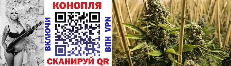 Купить закладки  Киреевск  Бошки марихуана ГИДРОПОН 